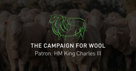 The Naked Sheep Hayle Campaign For Wool