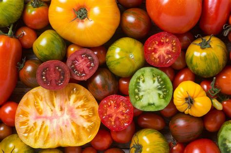 Tomato Varieties: Grow The Right Tomato For The Job! - Farmers' Almanac ...