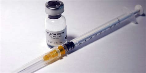 Partial dose of Yellow Fever vaccine works in emergencies » Emerging ...