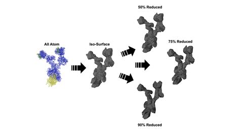 All Atom Molecular Models Left Have Their Isosurfaces Evaluated And Used To Generate