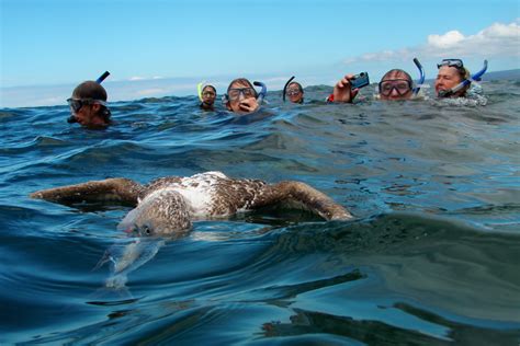 Viajes A Las Islas Gal Pagos Snorkel En Las Islas Gal Pagos