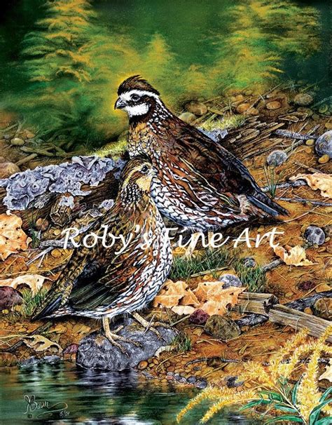 Bobwhite Quail Art Print Afternoon Break 8 X 10 Inch Giclee By