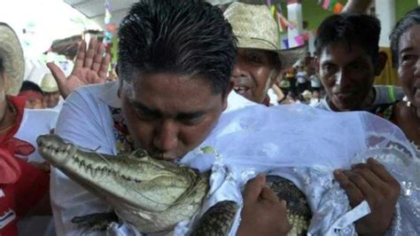 VIRAL Wali Kota Nikahi Buaya Betina Sampai Didandani Bak Pengantin