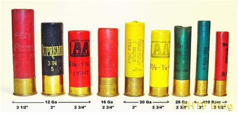 Shotgun Gauges Explained in Beginner Terms