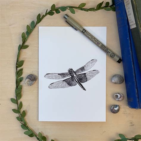 Widow Skimmer Dragonfly Spiritual Meaning at Carmen Elliott blog