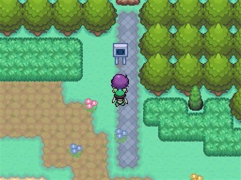 Pokemon Insurgence Part 55 Holon Grasslands