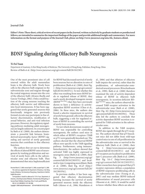 Pdf Bdnf Signaling During Olfactory Bulb Neurogenesis