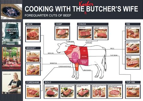 Kosher Cuts Of Beef What Is Kosher Beef Jamie Geller