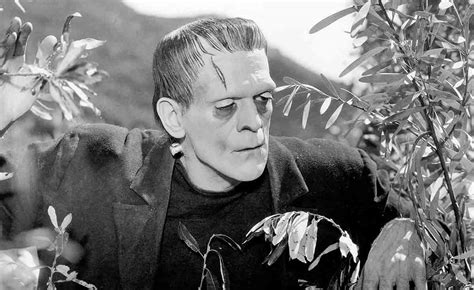 What Influenced Mary Shelley To Write Frankenstein