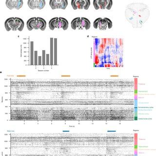 Unit anatomy and additional data in Neuropixels-based extracellular ...