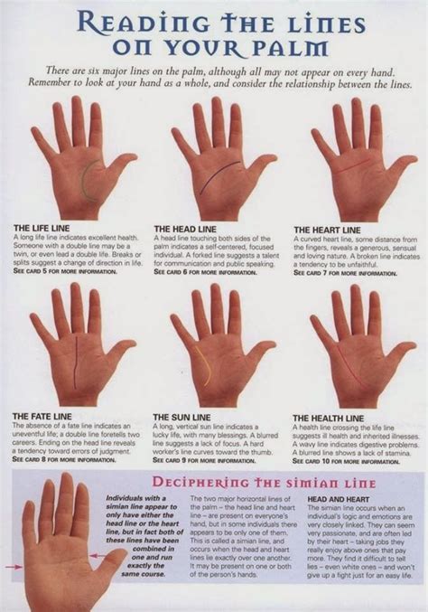 Palm Reading Basics Palmistry Palm Reading Palmistry Reading