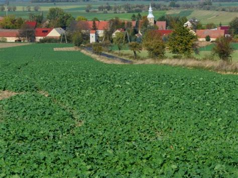 Coboru Praktyczny Poradnik Rolnika