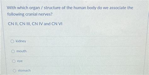 Solved With which organ / ﻿structure of the human body do we | Chegg.com