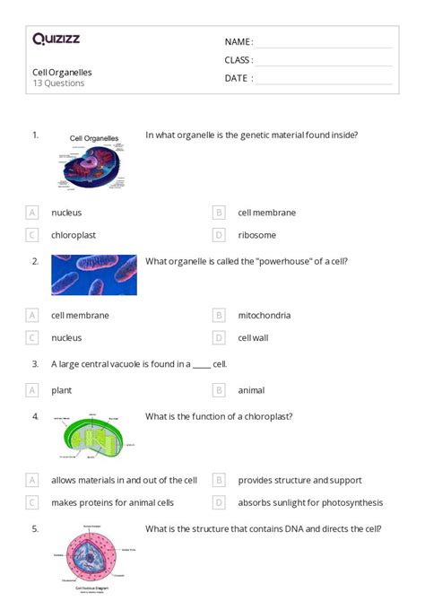 50 Structure Of A Cell Worksheets On Quizizz Free And Printable