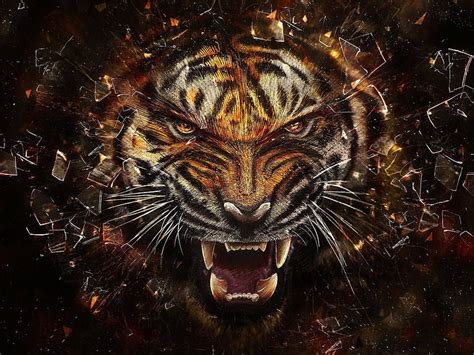 Cool Tigers Hd Wallpaper Pxfuel