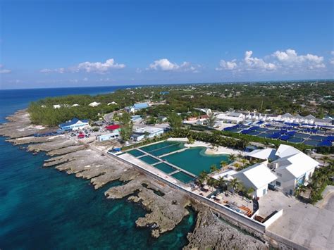 Things To Do In Grand Cayman For Cruise Passengers