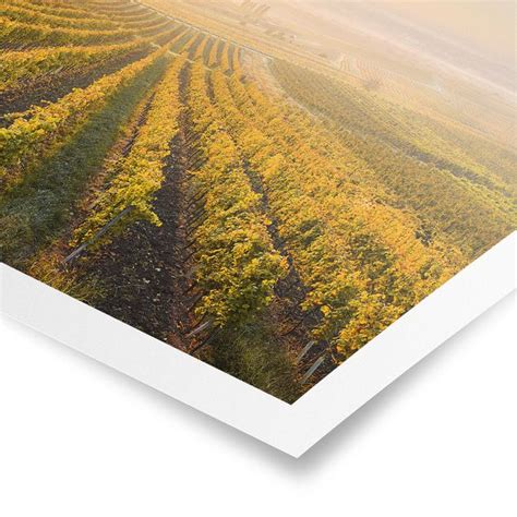 Herbstliche Weinberge Bei Wien Poster Im Querformat 3 2 Bilderwelten