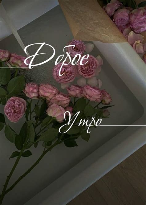 Доброе утро | Instagram ideas post, Instagram highlight icons, Instagram