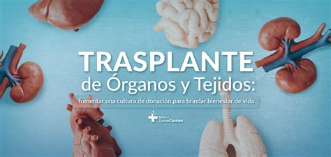 Trasplante de Órganos y Tejidos fomentar una cultura de donación