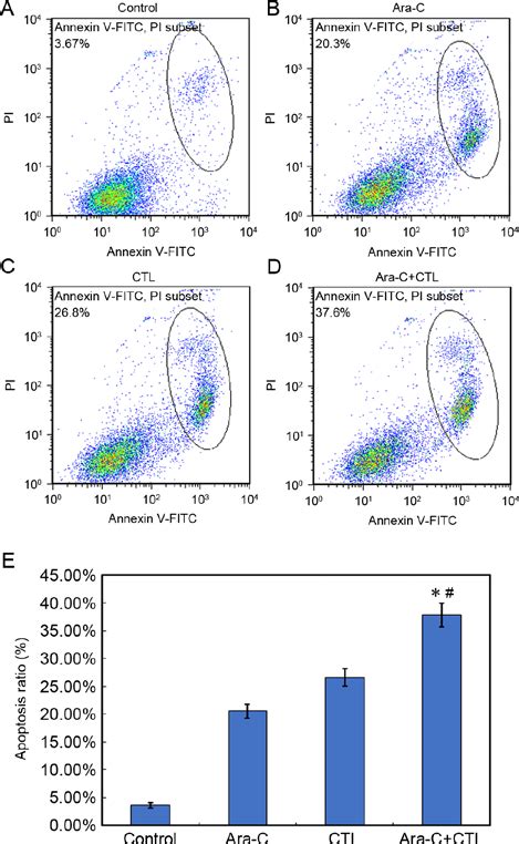 Ara C Induced Aml Cell Apoptosis Is Enhanced By Ctl Treatment Target