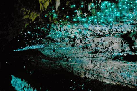 Photography Natural Wonders Glow Worms In Waitomo New Zealand Caves