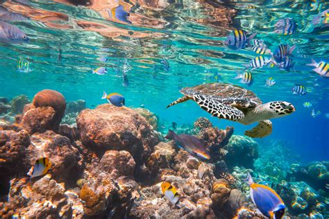 Exploring the Indian Ocean as a rich archive of history – above and