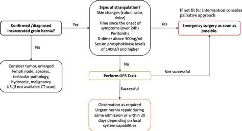 Management Of The Acute Incarcerated Inguinal Hernia In Adults Gps Download Scientific Diagram