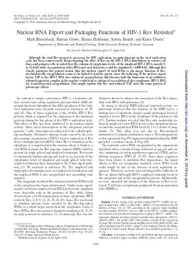 Nuclear RNA Export And Packaging Functions Of HIV 1 Rev Revisited