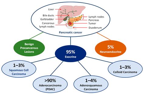 Targeted Nanoparticle-Based Diagnostic and Treatment Options for