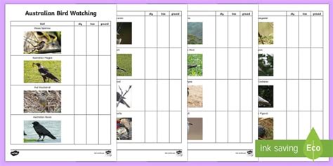 australian bird watching checklist teacher