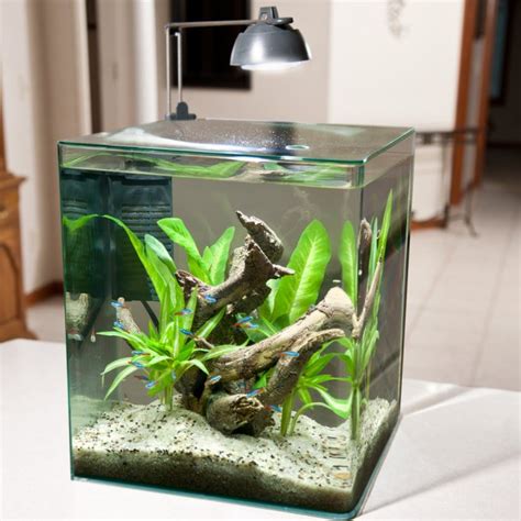 Best All In One Nano Tank