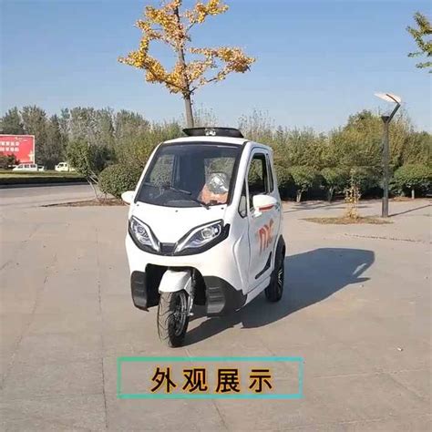 Factory New Producing Two Doors Three Wheel Enclosed Adult Electric