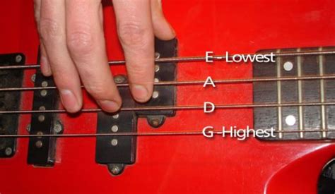 Bass Guitar Strings Names Music Instrument