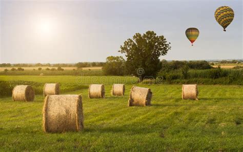 Balloons Over The Field Stock Image Image Of Summer