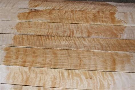 4/4 Curly Birch 20BF Lumber Pack | CR Muterspaw Lumber