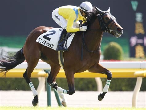 【jra】阪神jfの出走馬確定、ウオッカの娘タニノミッションらが抽選突破 競馬ニュース Netkeiba