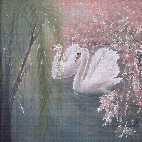 Dolceluna Flowers Spring Background Swan Dolceluna Flowers Spring