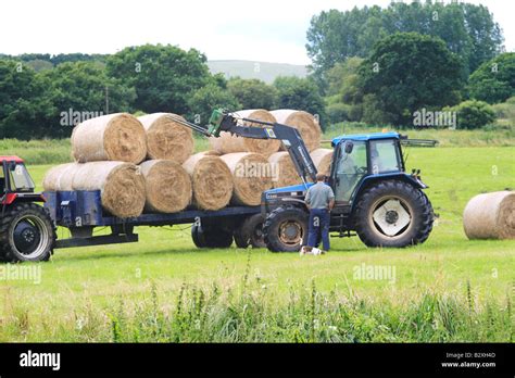 Farmer In Tractor Loading Hay Bales Dorset Stock Photo Alamy