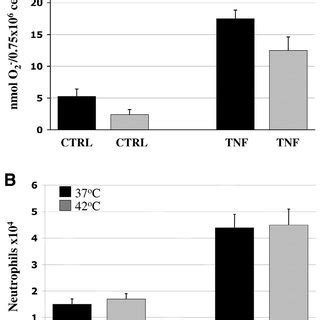 Effect Of Short Term Heat Exposure On Tnf Induced P Mapk Erk