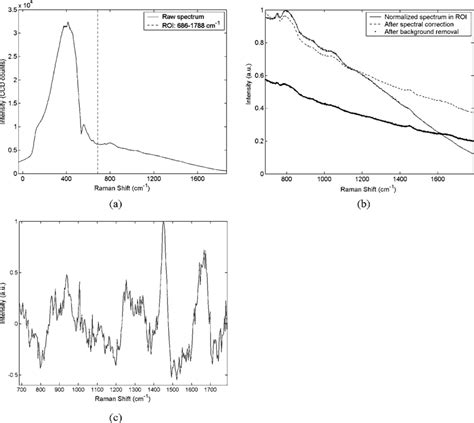 In Vitro Raman Spectrum Of A Non Atherosclerotic Femoral Artery A