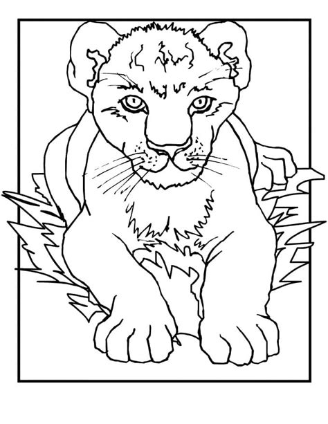 Coloriage Simba Lionceau Imprimer The Best Porn Website