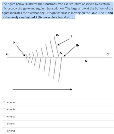 Solved The Figure Below Illustrates The Christmas Tree Like Chegg