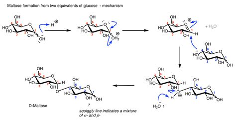 Can two beta-d-glucose form maltose (alpha 1-4 glycosidic linkage?) : r ...