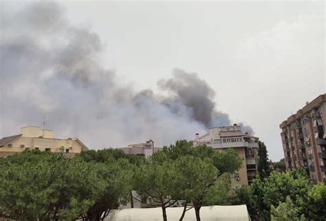 Incendio di sterpaglie a Roma evacuata facoltà a Tor Vergata Notizie