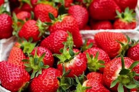 Herbs Spices That Pair With Strawberries