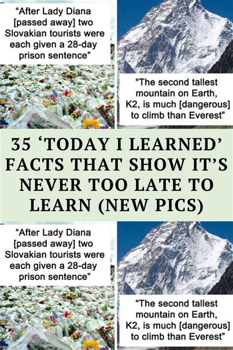 35 ‘Today I Learned’ Facts That Show It’s Never Too Late To Learn (New ...