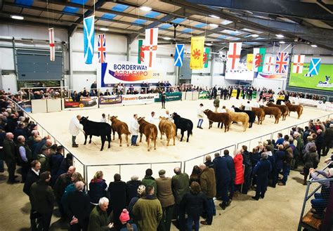 Borderway Uk Agri Expo To Go Ahead In 2021 Cumberland And Westmorland