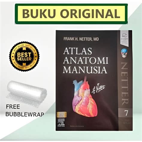 Jual Original Atlas Anatomi Manusia Edisi 7 Frank H Netter Shopee