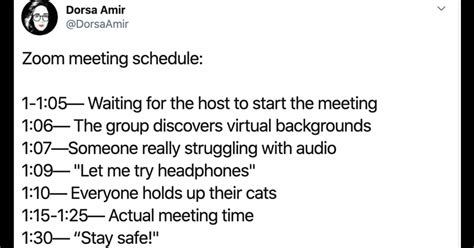 32 Best Funny Memes & Jokes About Zoom Meetings