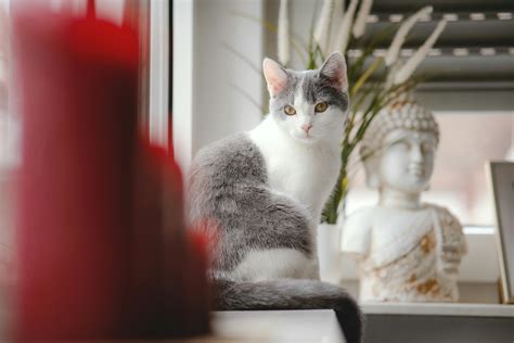 foreground photography      foreground